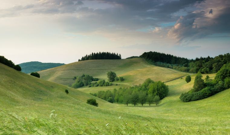 Immagine delle evento: Ambiente Verde