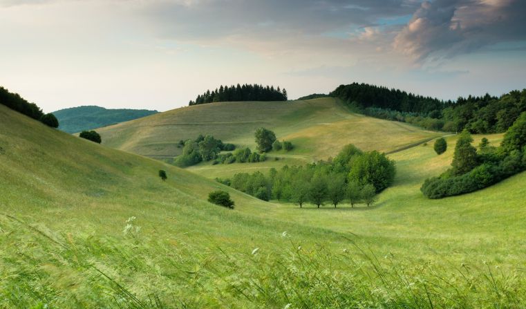 Immagine delle evento: Formazione del mercoledì